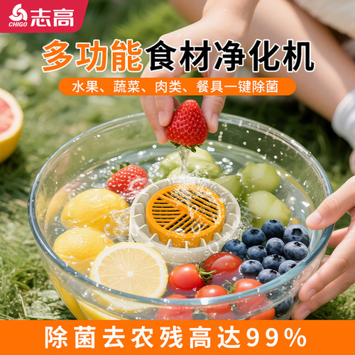志高水果蔬菜全自动清洗净化机