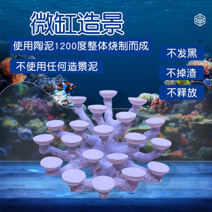 40-45海水缸造景石海缸用品水族养鱼摆件景观岩石装饰定制
