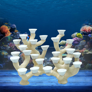 40-45海水缸造景石海缸用品水族养鱼摆件景观岩石装饰定制