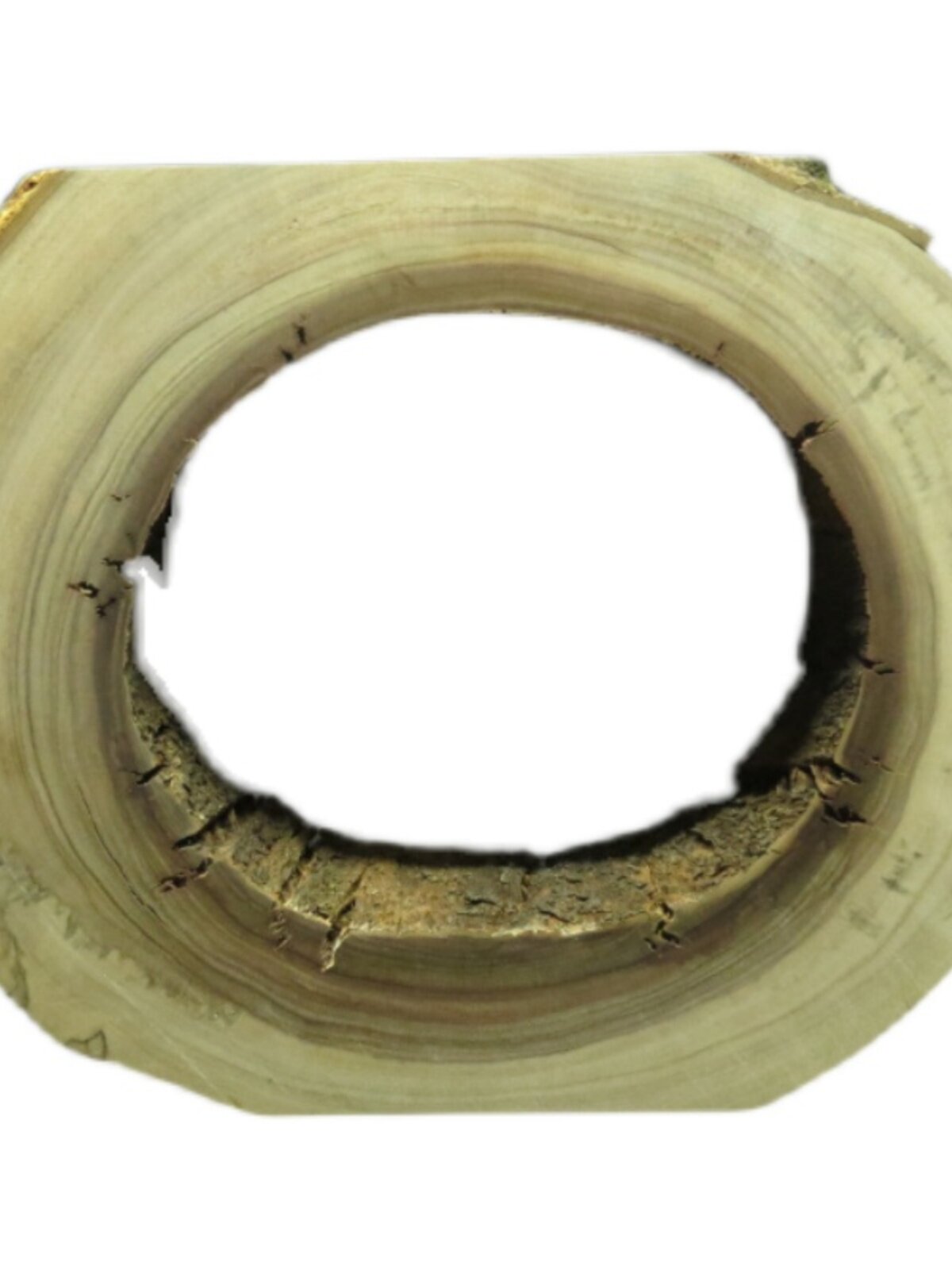 NATURAL HOLLOW WEATHERED WOOD DEAD WOOD BACKFLOW FRAGRANT CAMPHOR WOOD PORCH ZEN ORNAMENTS WOOD ROOT CARVING HOME SOFT DECORATIONS