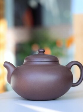 相逢一壶茶 黄龙山紫泥  柿圆 全手紫砂壶 九瀚艺术255cc
