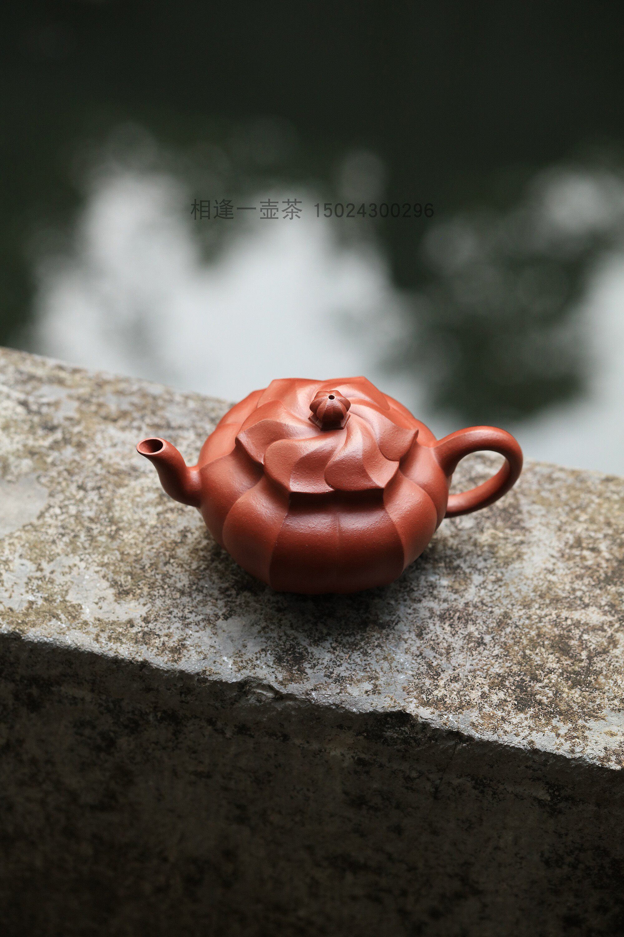 相逢一壶茶嘉德 伍海红 幽萝 筋纹大红袍全手紫砂壶九瀚艺术200cc