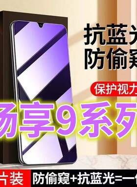适用蓝光防窥膜华为畅享9防偷窥钢化膜9s手机膜9e防偷看屏幕9plus贴膜九黑边防窥玻璃膜全屏紫光护眼防窥视防