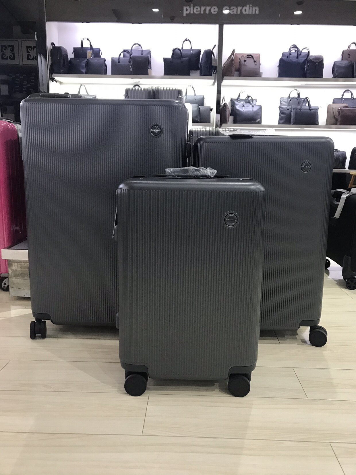 皮尔卡丹拉杆箱旅行行李箱静音万向轮pc材质新款商场同款包邮