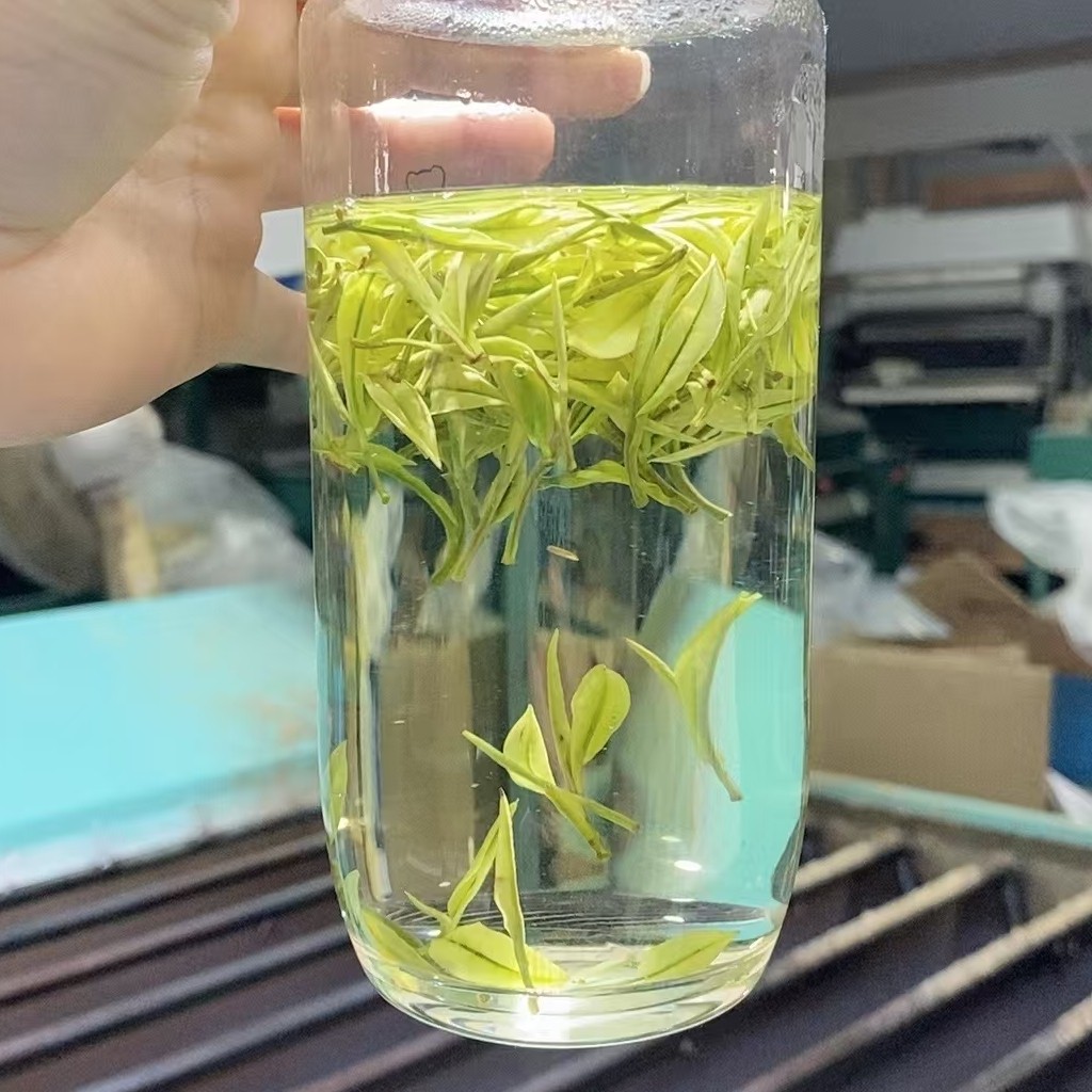 兰香2025新茶【明前二采-3优级】明前安吉白茶正宗珍稀春茶250g