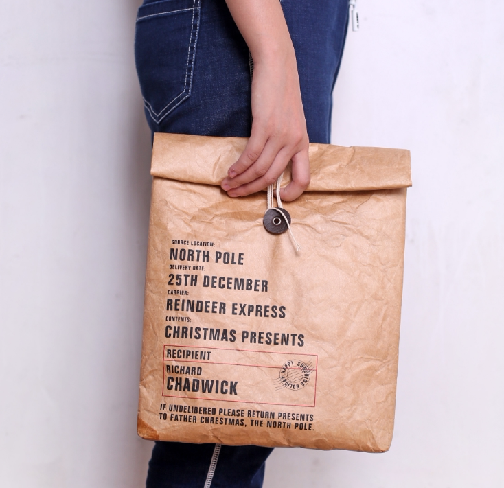 北欧手提杜邦纸便当袋 保温保冷铝箔午餐袋子加厚 时尚潮人便当包