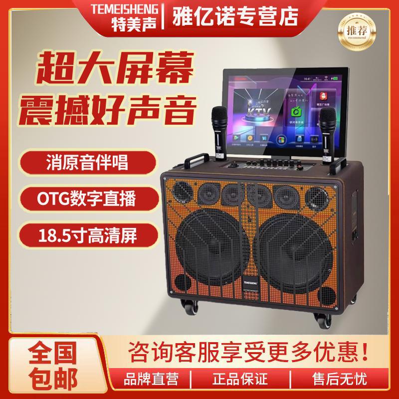 双10吋户外k歌广场舞音响