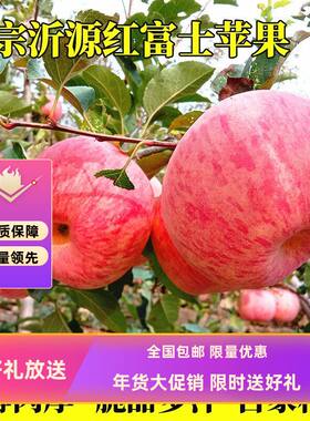 沂源红富士苹果山东正宗脆甜多汁