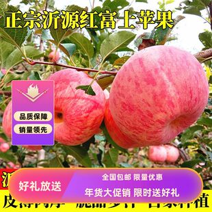 新鲜上市中国大陆沂源红山东当季快递5斤装新鲜种植水果