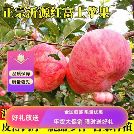 新鲜上市中国大陆沂源红山东当季快递5斤装新鲜种植水果
