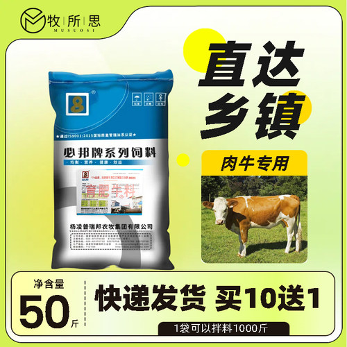 5%肉牛复合预混合饲料微量元素维生素AD3E钙磷速补铁铜锌锰育肥长