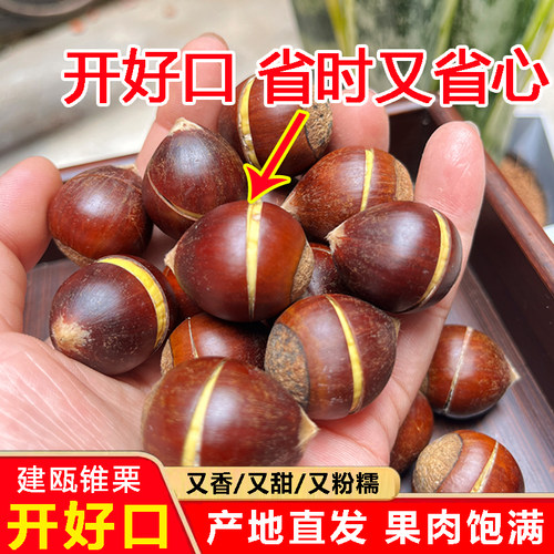 开好口的锥栗现摘现发顺丰包邮