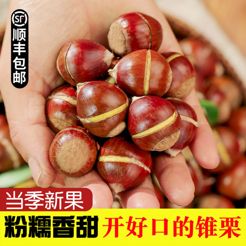 【解放双手】懒癌终结开好口锥栗