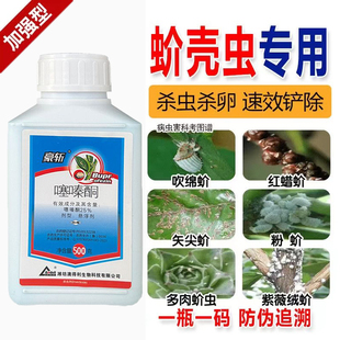 蚧壳虫专杀噻嗪酮厂家直销蚧必治介壳虫花卉柑橘柿子果树多肉通用
