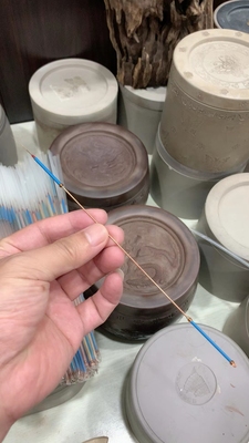 黄铜鼠须草开牙草斗蟋蟀