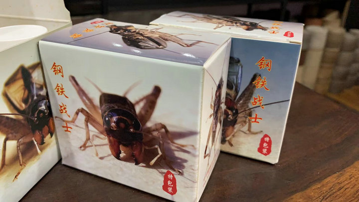 畅销十多年钢铁战士蟋蟀饲料
