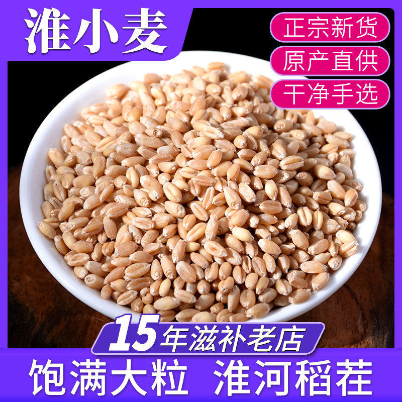 淮小麦500g中药材批发店铺 怀小麦茶 甘麦大枣汤泡茶泡水