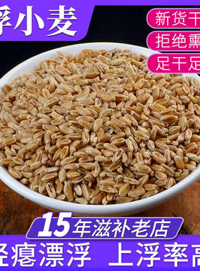 正宗浮小麦500g中药材浮水麦浮麦瘪小麦泡水泡茶