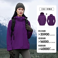 【Новые цвета предлагают】 Стиль хрустальных пурпурных женщин | Флисовый набор с двумя частями