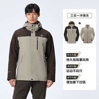 [Мужская модель] Ash Khaki + Ebony Brown | Классический Advanced 3.0