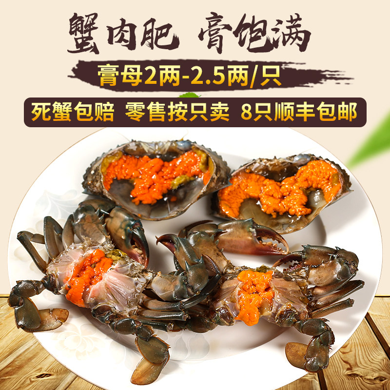 鲜活全母螃蟹膏蟹(B羔2.5两)胖哥俩红膏蟹煲缅甸野生小泥蟹青蟹