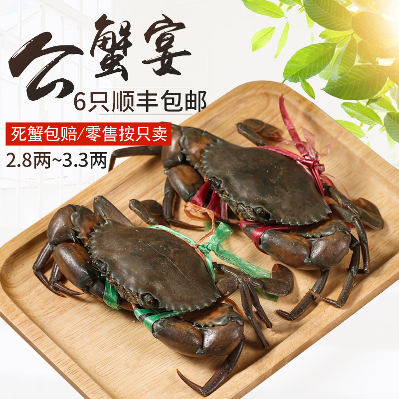 缅甸螃蟹昆明鲜活肉蟹孟加拉蟹迷踪蟹香辣蟹肉蟹煲青蟹C140g左右