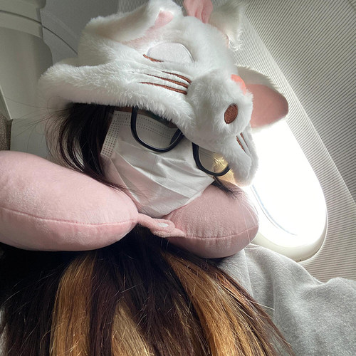 U型枕女生可爱迪士尼玛丽猫雪莉玫连帽护颈枕开车高铁飞机睡觉枕