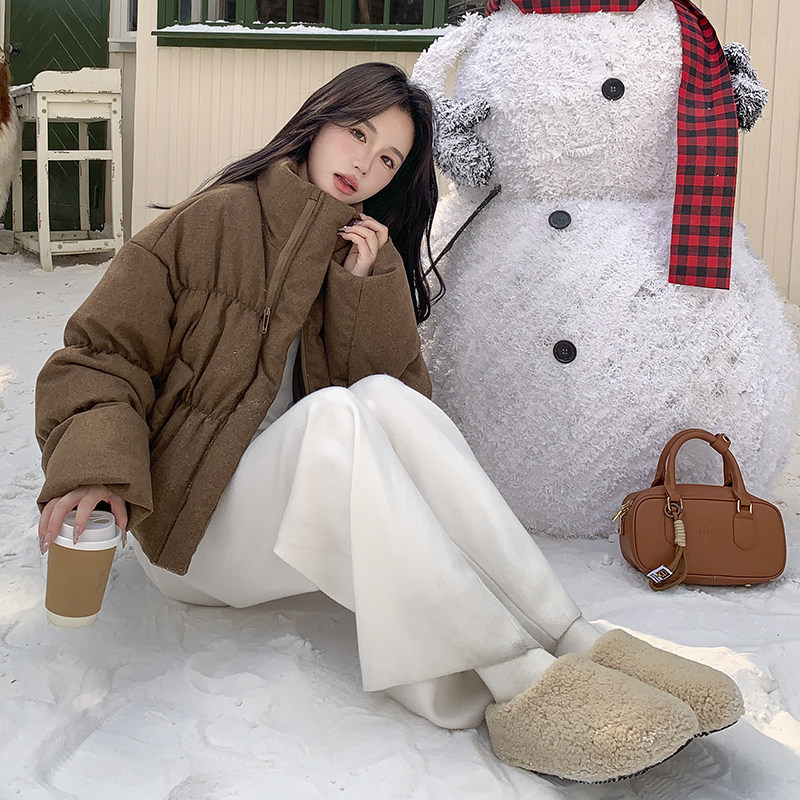 美拉德咖色捏褶立领羽绒服女冬2025超火好看高级小众短款加厚外套,女装羽绒服,2B235