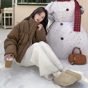 美拉德咖色捏褶立领羽绒服女冬2025超火好看高级小众短款加厚外套图片
