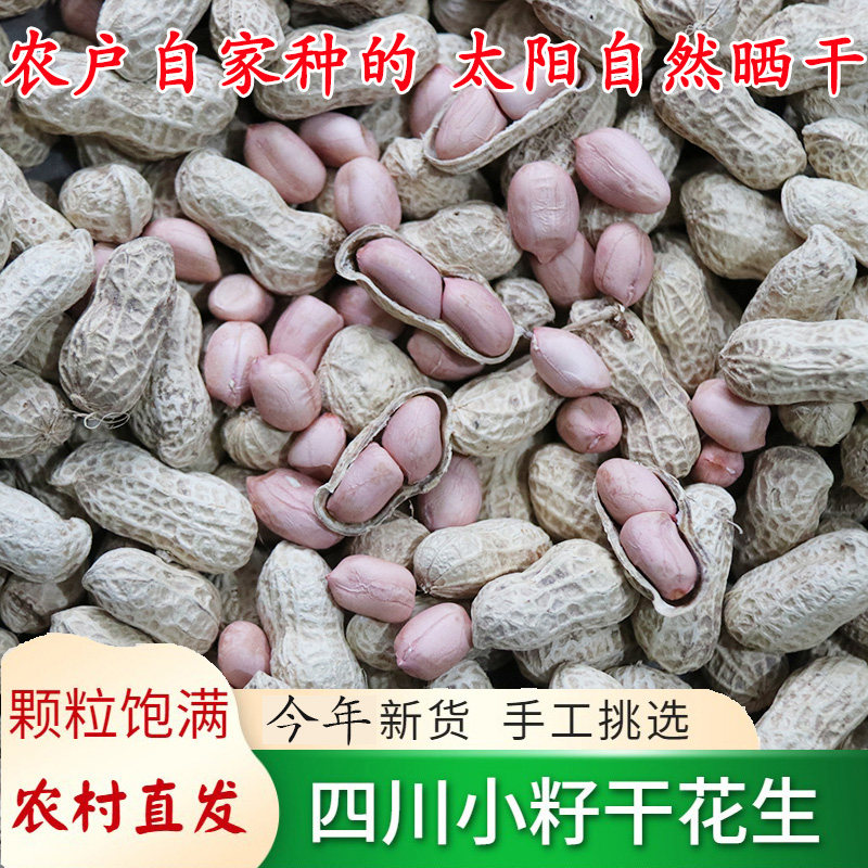 四川带壳新鲜1份5斤包邮生花生