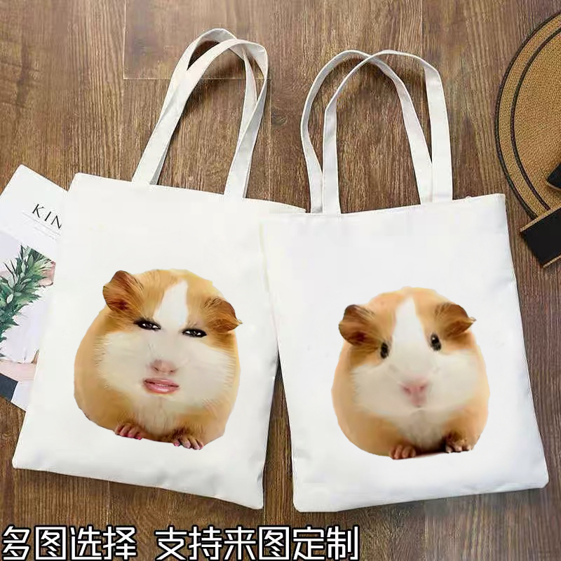 荷兰猪的小曲帆布袋表情豚鼠碧昂丝大眼红唇抽象学生大容量单肩包