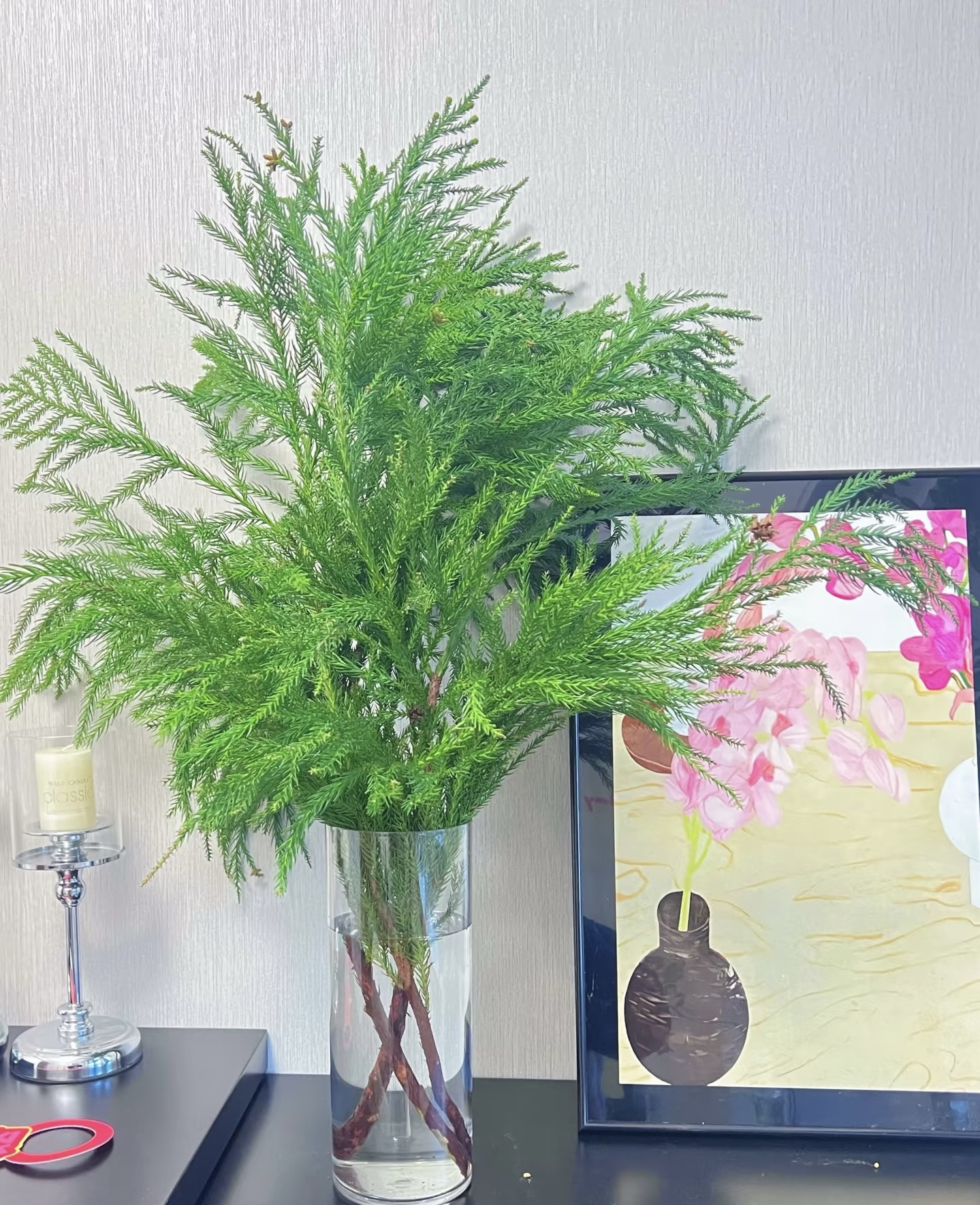 天竺少女松枝柳杉水培绿植鲜切枝花期长室内歪脖子圣诞树圣诞花环