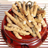 正品 非西藏那曲新鲜冬虫夏草青海玉树头期中号断虫草泡酒自用礼盒