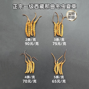 青海玉树干货无断虫草礼盒装 头期虫草 新草西藏那曲冬虫夏草正品