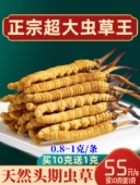 野生虫草头期干虫草旗舰店礼盒装 西藏那曲青海玉树冬虫夏草 正品