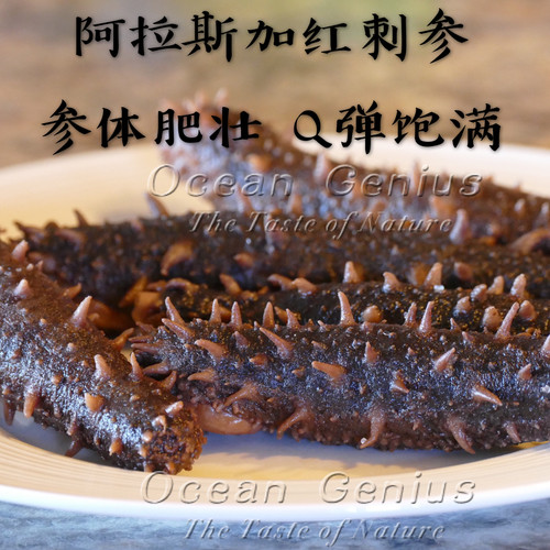 加拿大阿拉斯加红刺参红参Ocean Genius野生海参干货淡干10年新鲜