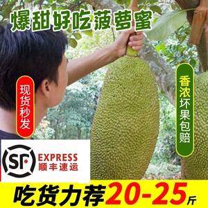 海南三亚黄肉干苞菠萝蜜