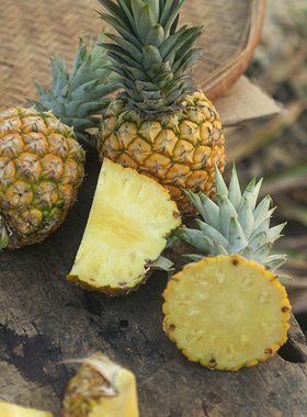 海南金钻凤梨无眼波萝5-10斤装 当季新鲜水果香水菠萝手撕凤