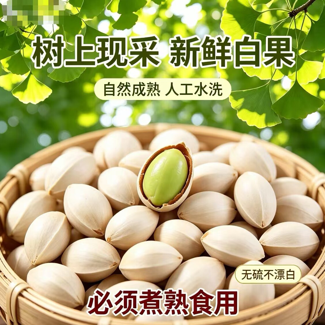 2026新鲜银杏果生白果带壳银杏鲜果炖鸡炖鸭炖排骨整箱包邮
