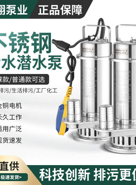 全不锈钢304潜水泵耐腐蚀热保护