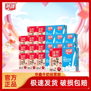 新鲜燕塘原味酸奶饮品250ml*12盒红枣枸杞牛奶250ml*12盒整箱包邮