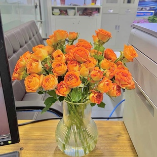 宜家代购国内普德拉格花瓶餐用水瓶花瓶插画办公室装饰