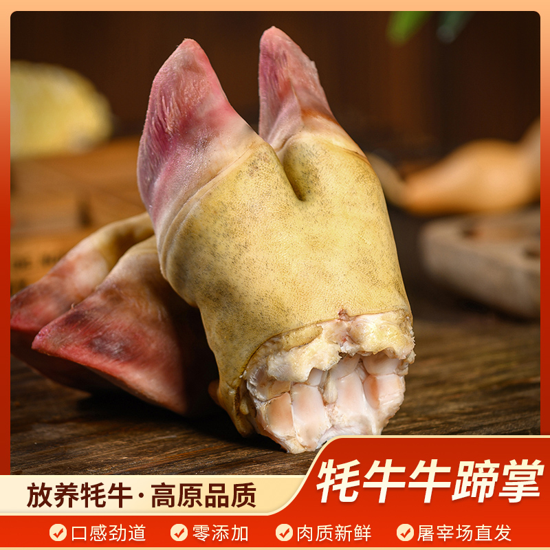 新鲜牛蹄掌整只原切5斤牛脚掌带牛蹄筋生牛蹄火烧去毛牛爪子包邮
