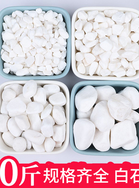 50斤白石子白色鹅卵石铺地园林庭院铺路造景枯山水天然原石小石头