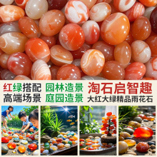 南京雨花石天然鹅卵石鱼缸造景石头水培石子红色玛瑙养花的小石头