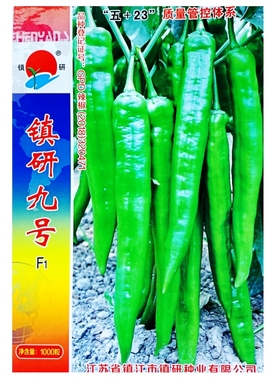 镇研九号六号羊角椒种子辣椒早熟黄绿色大果四季大田基地蔬菜种孑