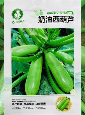 奶油西葫芦种籽耐高温抗病强占瓜种子角瓜西葫芦种子荨瓜苗菜种孑