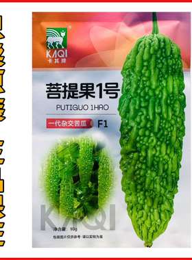 菩提果1号苦瓜种子一代杂交亮绿色苦瓜种籽疙瘩绿苦瓜种耐热耐湿