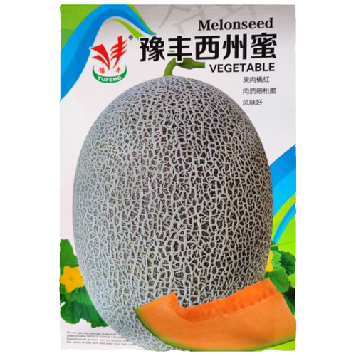 西州蜜种子 新疆哈密瓜种籽 甜瓜香瓜春秋大棚露天抗病耐裂品质好