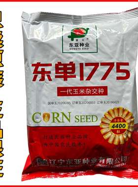 东单1775玉米种子国审原厂正品高产稳产耐高温抗病抗倒优质苞谷种